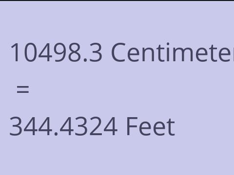10498.3 CM TO FEET