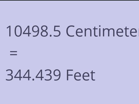 10498.5 CM TO FEET
