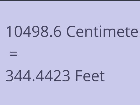 10498.6 CM TO FEET