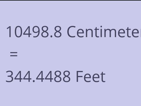 10498.8 CM TO FEET