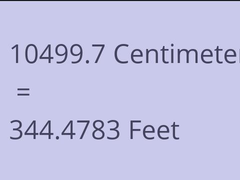 10499.7 CM TO FEET
