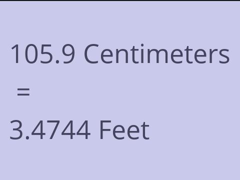 105.9 CM TO FEET