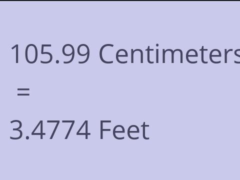 105.99 CM TO FEET