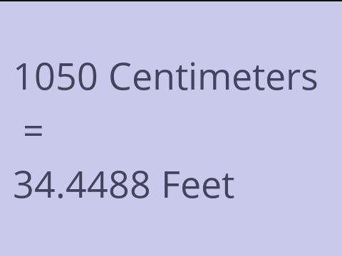 1050 CM TO FEET