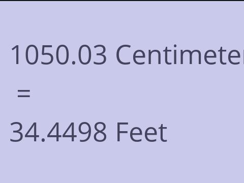 1050.03 CM TO FEET