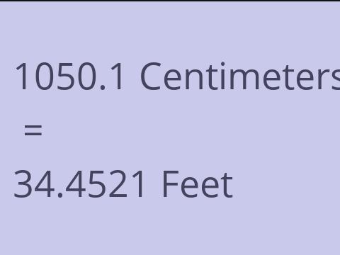 1050.1 CM TO FEET