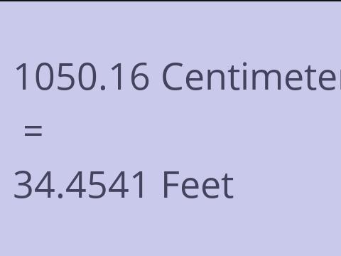 1050.16 CM TO FEET