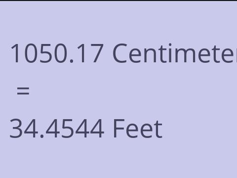 1050.17 CM TO FEET