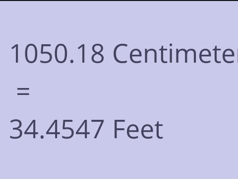 1050.18 CM TO FEET