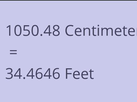 1050.48 CM TO FEET