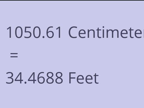 1050.61 CM TO FEET