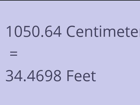 1050.64 CM TO FEET