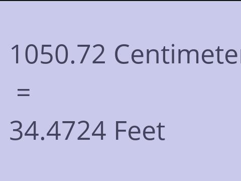 1050.72 CM TO FEET