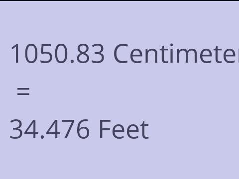 1050.83 CM TO FEET