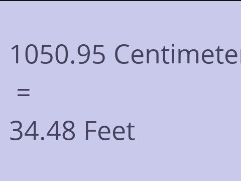 1050.95 CM TO FEET