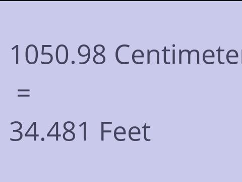 1050.98 CM TO FEET