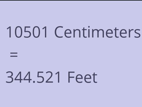 10501 CM TO FEET