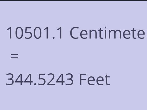 10501.1 CM TO FEET