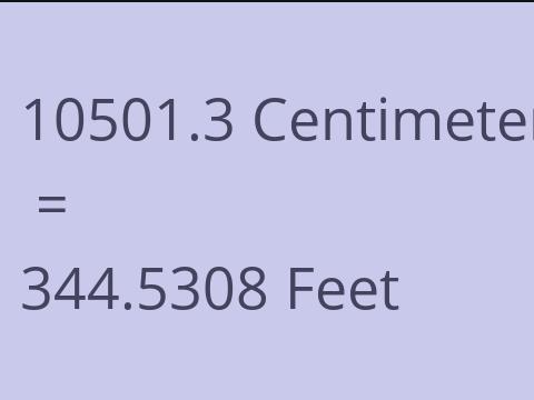 10501.3 CM TO FEET
