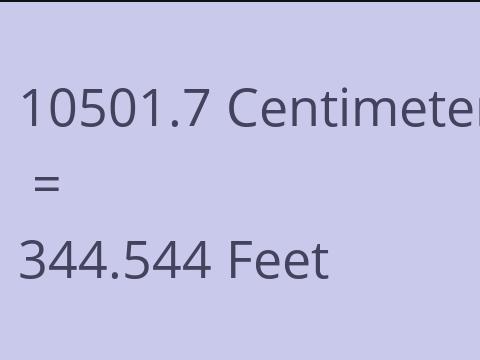 10501.7 CM TO FEET