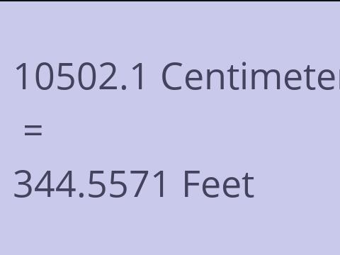 10502.1 CM TO FEET