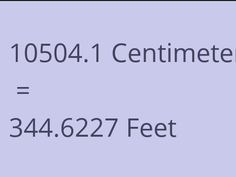 10504.1 CM TO FEET