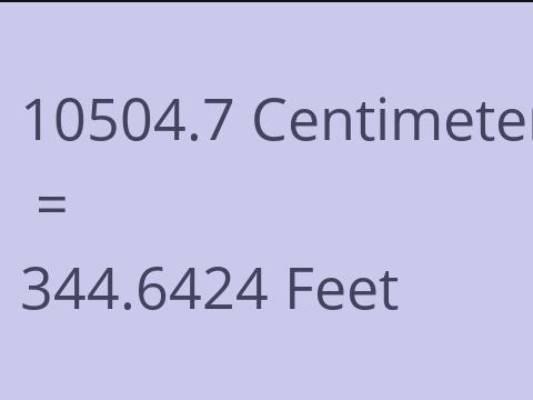 10504.7 CM TO FEET