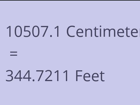 10507.1 CM TO FEET