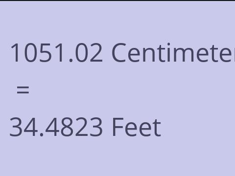 1051.02 CM TO FEET