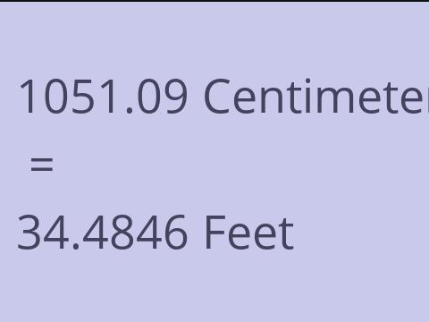 1051.09 CM TO FEET