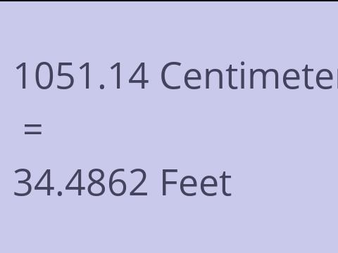 1051.14 CM TO FEET