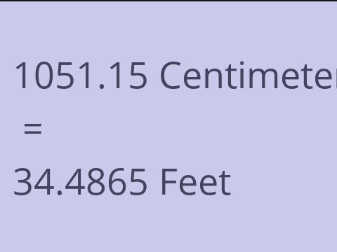 1051.15 CM TO FEET