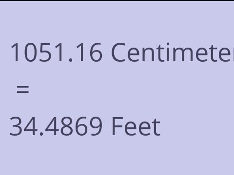 1051.16 CM TO FEET