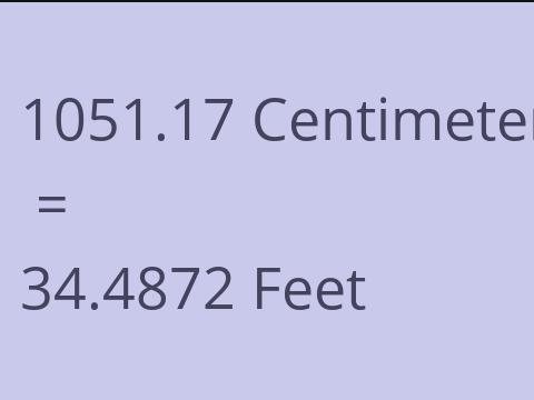 1051.17 CM TO FEET