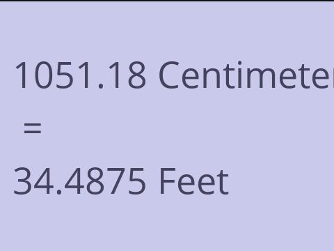 1051.18 CM TO FEET