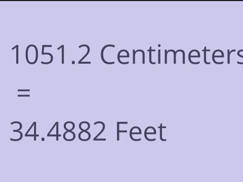 1051.2 CM TO FEET