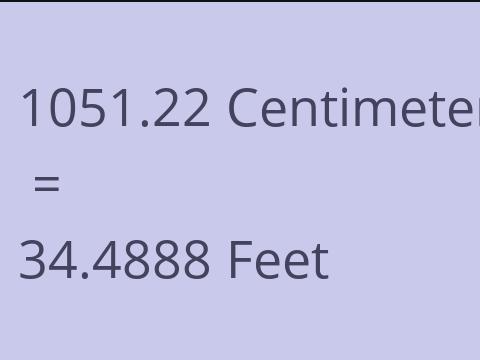 1051.22 CM TO FEET