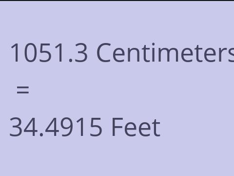 1051.3 CM TO FEET