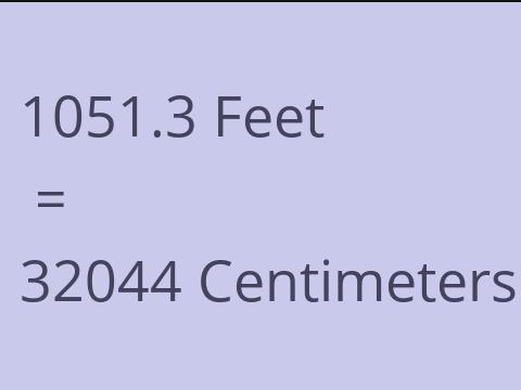 1051.3 FEET TO CM