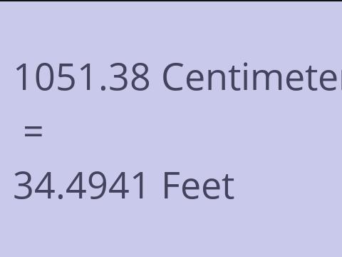 1051.38 CM TO FEET