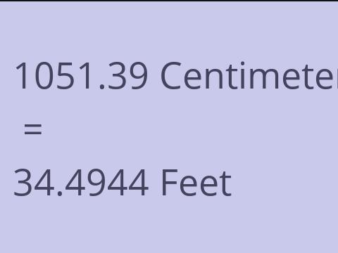 1051.39 CM TO FEET