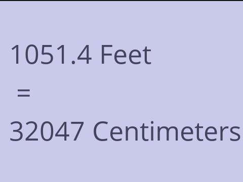 1051.4 FEET TO CM