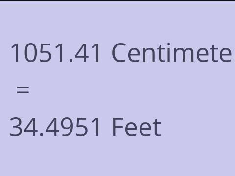 1051.41 CM TO FEET