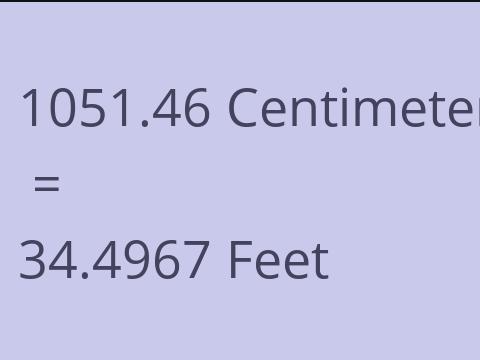 1051.46 CM TO FEET