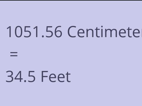 1051.56 CM TO FEET