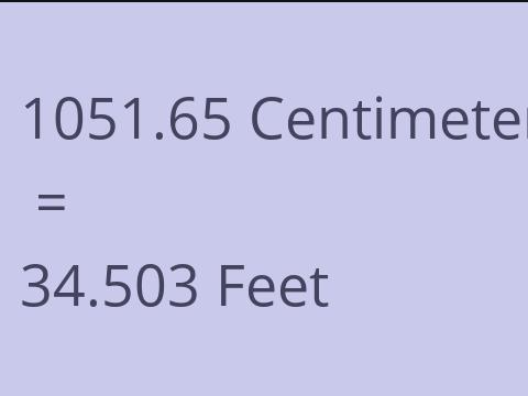 1051.65 CM TO FEET