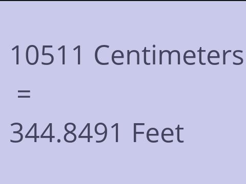 10511 CM TO FEET