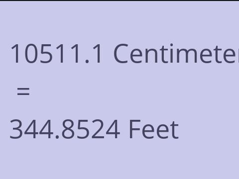 10511.1 CM TO FEET