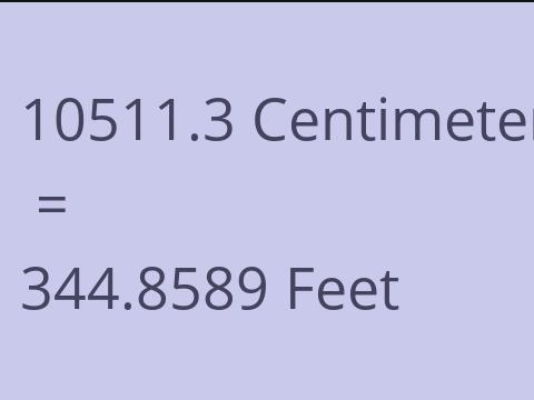 10511.3 CM TO FEET
