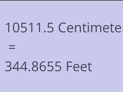 10511.5 CM TO FEET